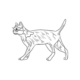 Free cartoon cat animal black and white clipart