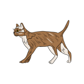 Free cartoon cat animal clipart