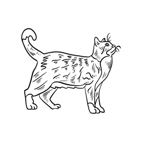 Free cat black and white clipart