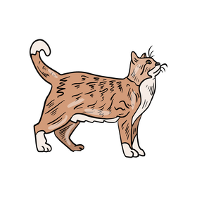 Free cat clipart