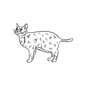Free cat black and white clipart