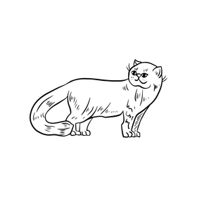 Free cat black and white clipart