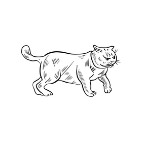 Free cat black and white clipart