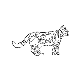 Free cat cartoon pet black and white clipart