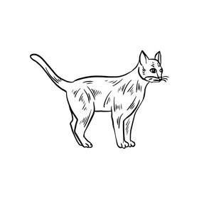 Free cat cartoon pet black and white clipart