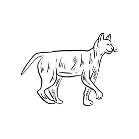 Free cat cartoon pet black and white clipart