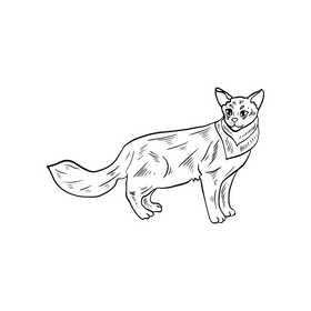 Free cat, pet black and white clipart free download