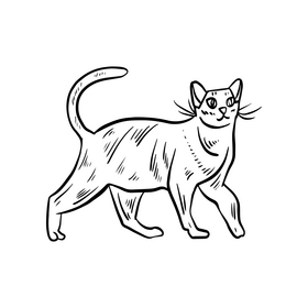 Cat illustration black and white clipart