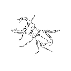 Beetle black and white clipart