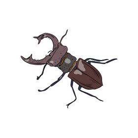 Beetle clipart