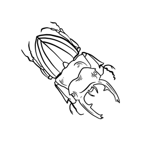 Free beetle black and white clipart