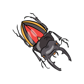 Free beetle clipart