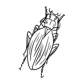 Beetle cartoon black and white clipart