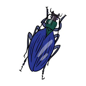Blue beetle cartoon clipart