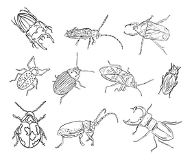 Beetles cartoon black and white vector free download