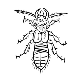 Free Bug black and white clipart