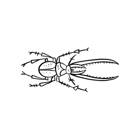 Bug illustration black and white clipart