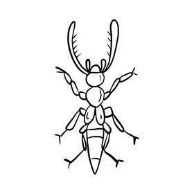 Bug illustration black and white clipart
