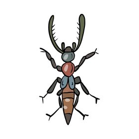 Bug illustration clipart