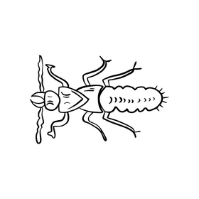 Bug cartoon black and white clipart