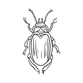 Cartoon bug black and white clipart