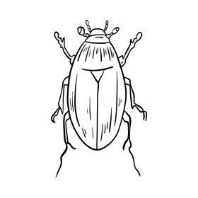 Bug black and white clipart vector free download