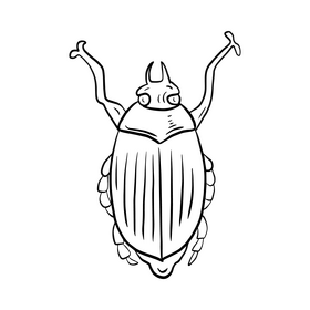 Bug black and white clipart