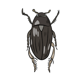 Bug clipart