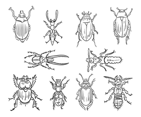 Bugs black and white vector
