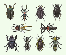 Bugs vector