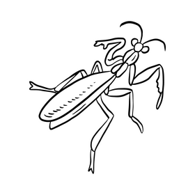 Mantis black and white clipart