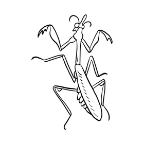 Mantis black and white clipart