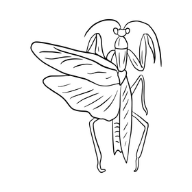 Mantis black and white clipart