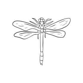 Cartoon dragonfly illustration black and white clipart vector free download