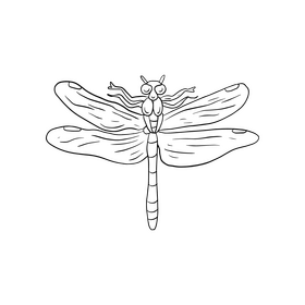 Dragonfly insect cartoon black and white clipart vector free download