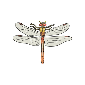 Dragonfly cartoon clipart
