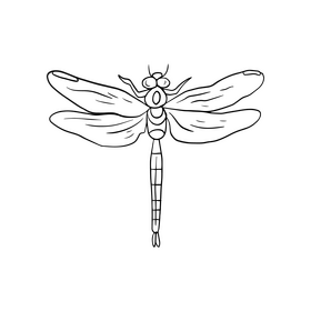 Dragonfly insect black and white clipart vector free download