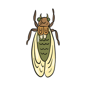 Moth illustration clipart