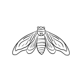 Moth black and white clipart