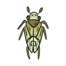 Cartoon moth clipart