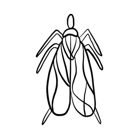 Moth cartoon black and white clipart