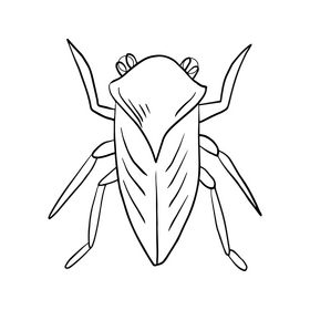 Moth drawing black and white clipart
