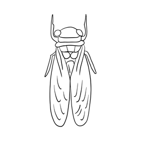 Free moth black and white clipart