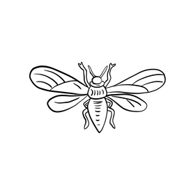 Moth black and white clipart