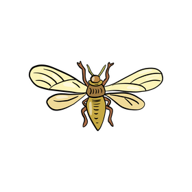 Moth clipart