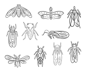 Moths black and white vector