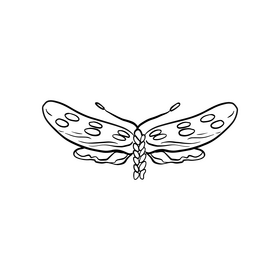 Free moth black and white clipart