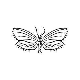 Moth black and white clipart