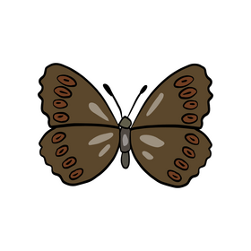 Brown moth clipart