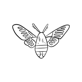 Moth cartoon black and white clipart
